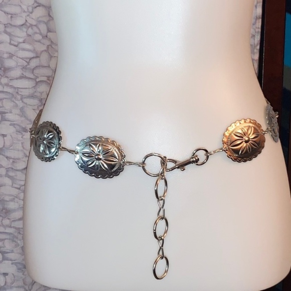 A silver colored metallic linked belt.